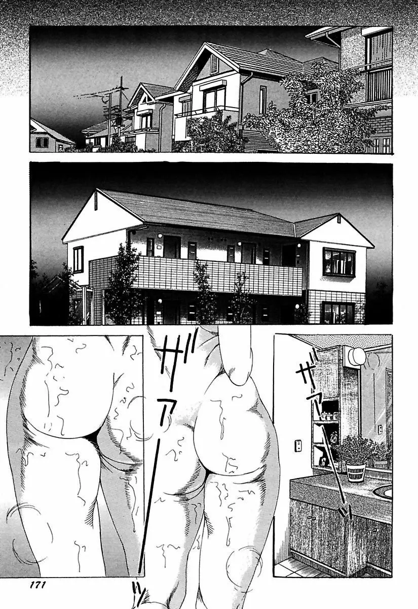 人妻牝奴隷 Page.173