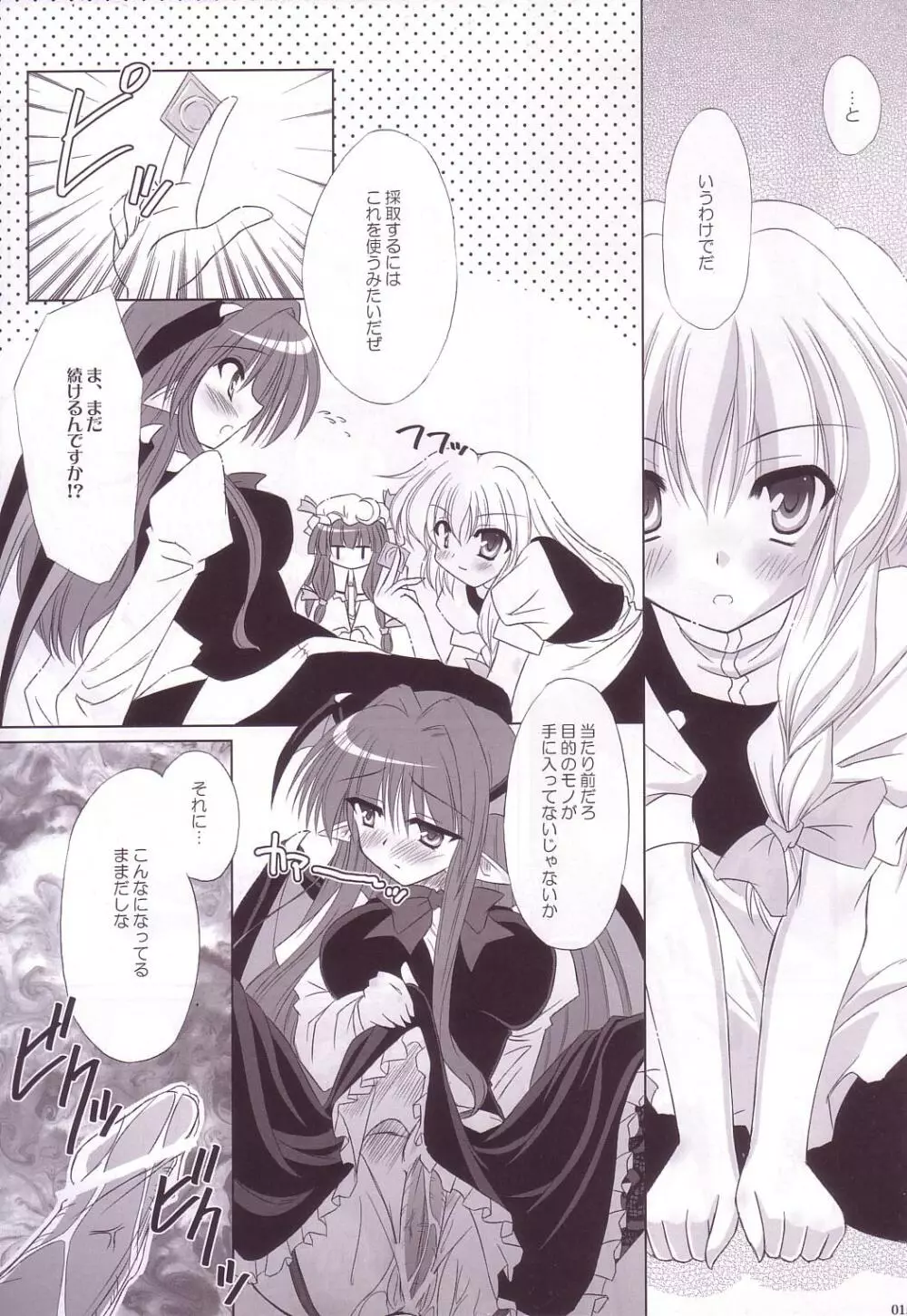 Lunatic Library Page.15
