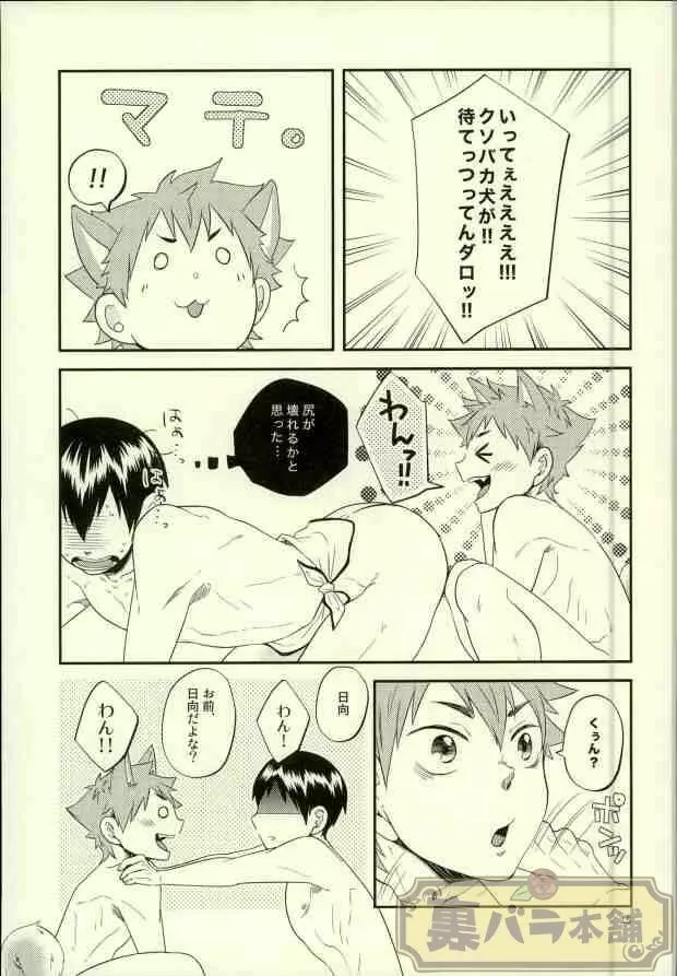 俺の彼氏が犬に取り憑かれまして。 Page.14