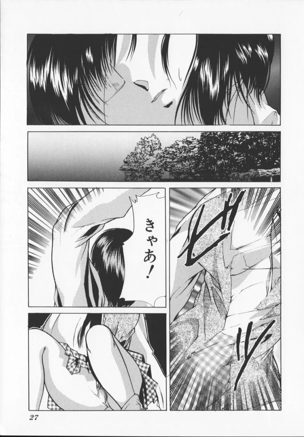 緋色の犠牲たち Page.29