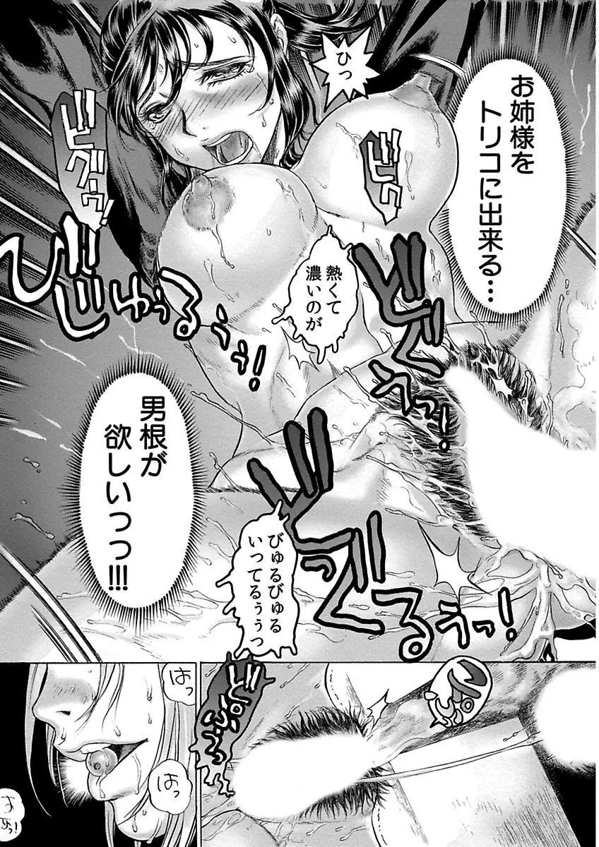 ビューティ・ヘア自選傑作集 Page.245