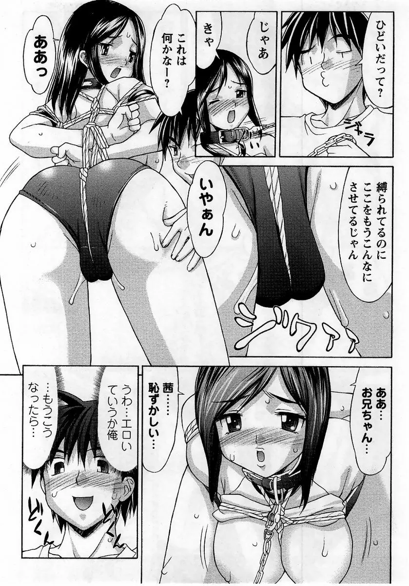 コミック・マショウ 2005年11月号 Page.31