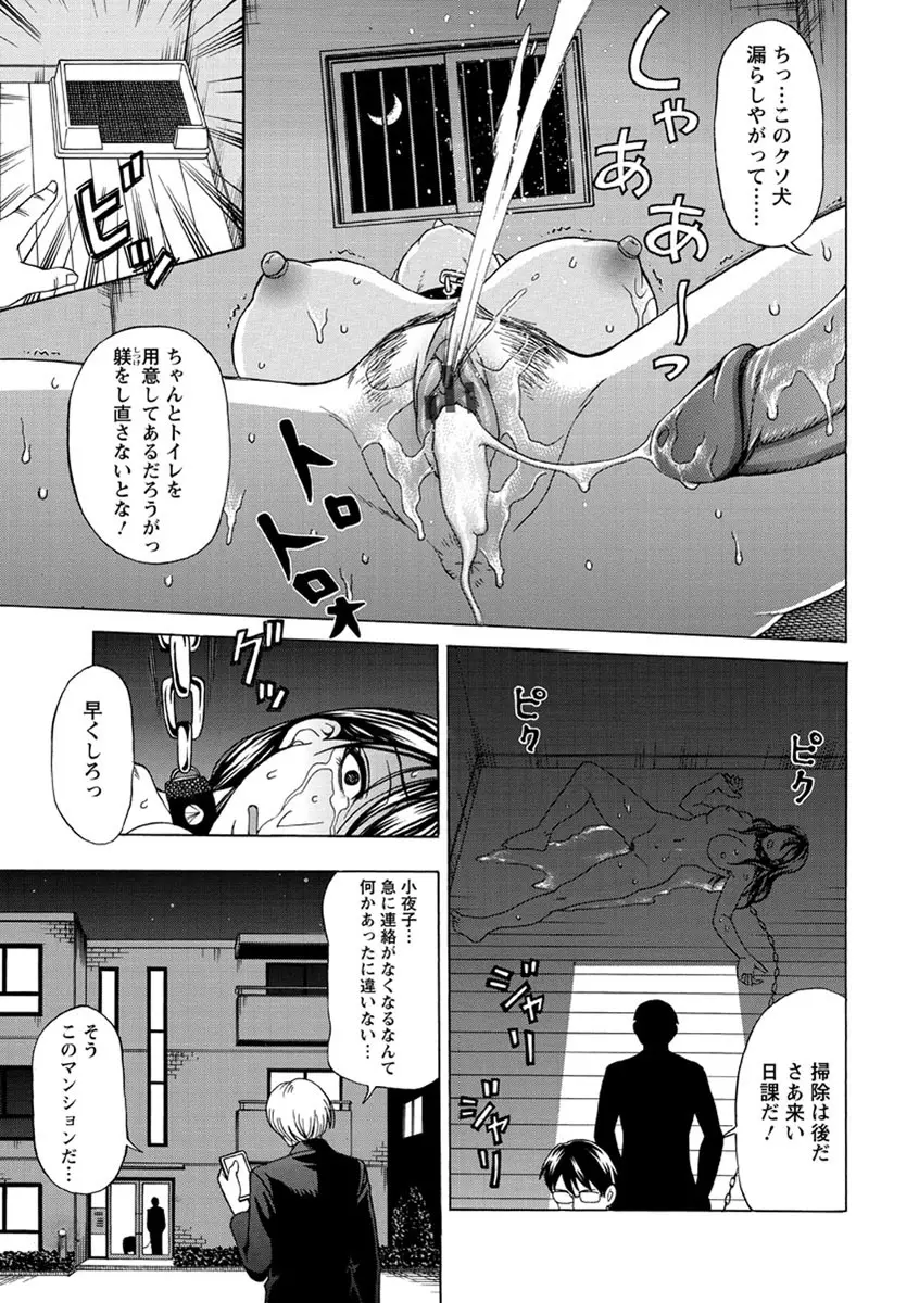 牝犬カタログ 調教淫婦 Page.46