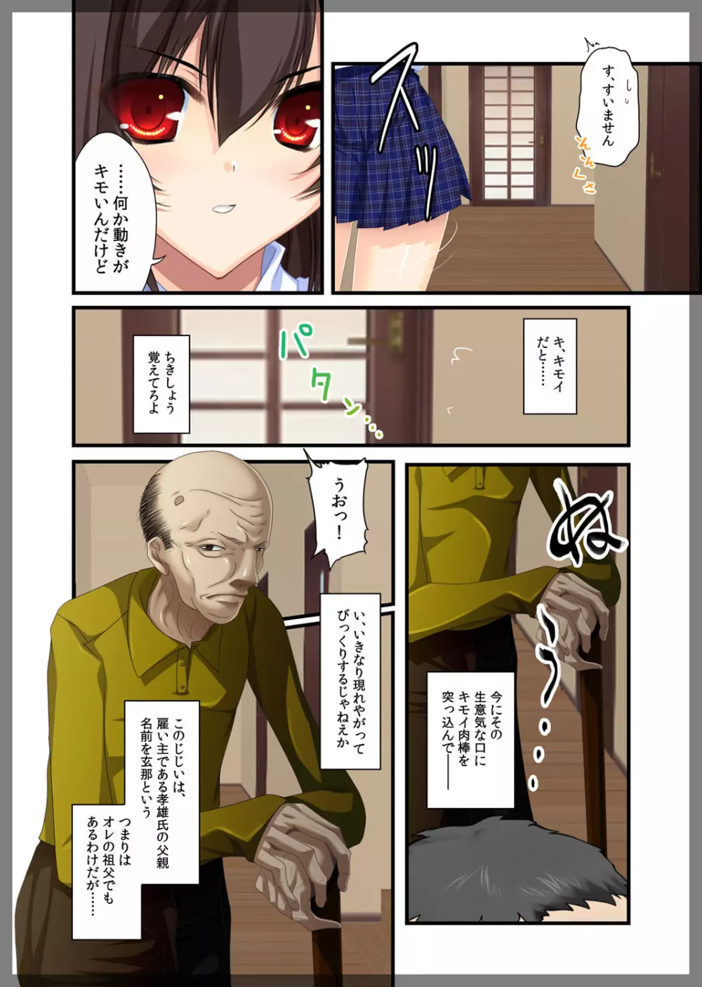 自宅警備員～熟れた未亡人 葛木翔子 編～ Page.11