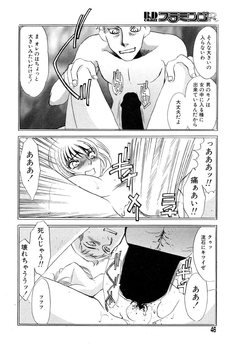 フラミンゴR Vol.04 Page.50