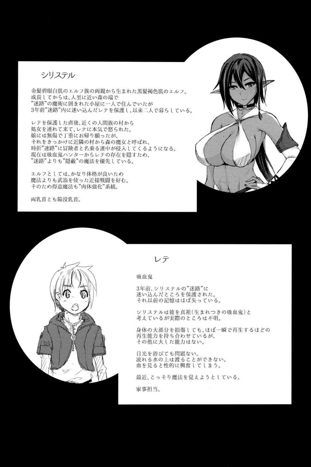 褐色エルフとちいさな吸血鬼 Page.3