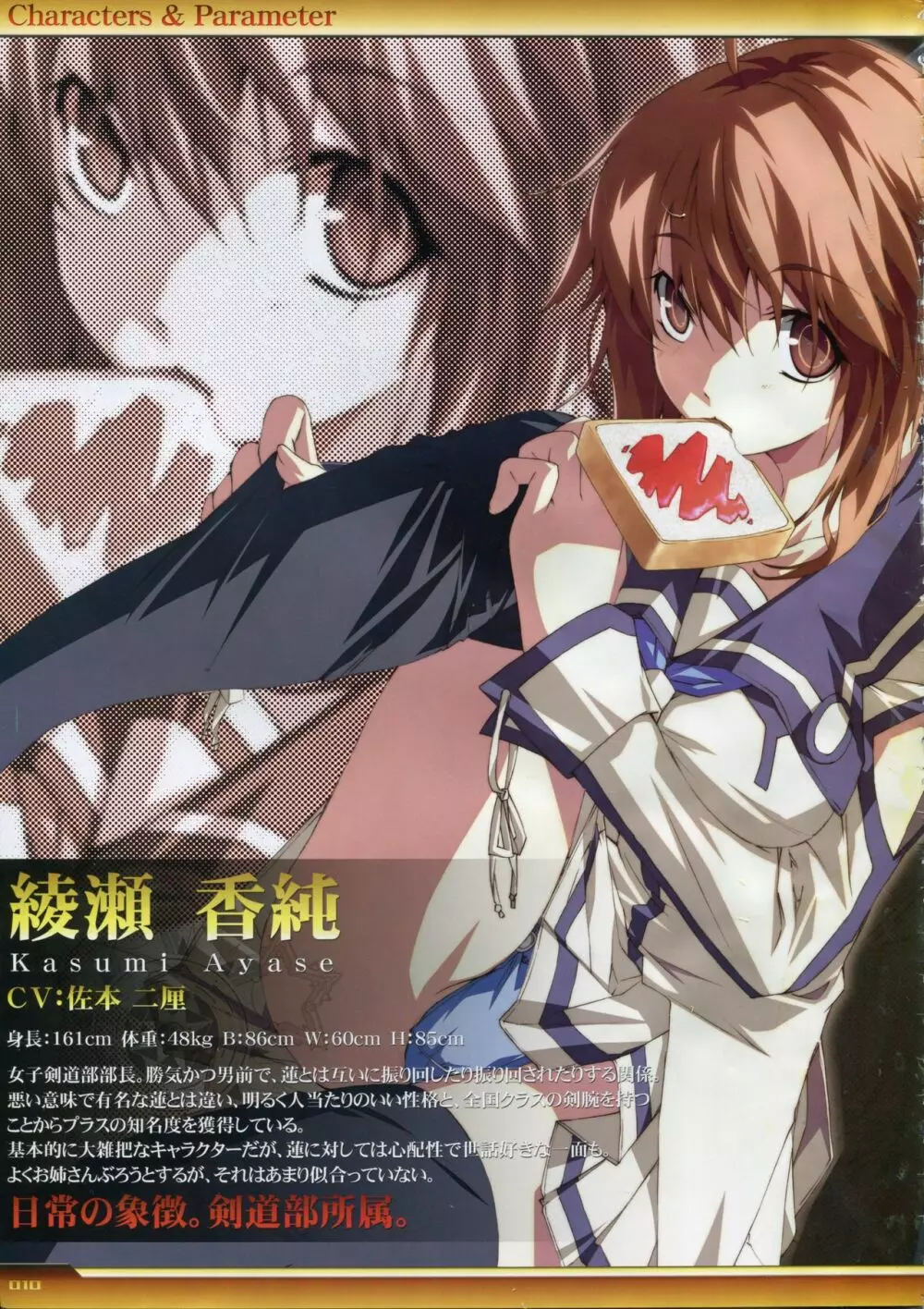 Dies irae Visual Fanbook - White Book Page.11