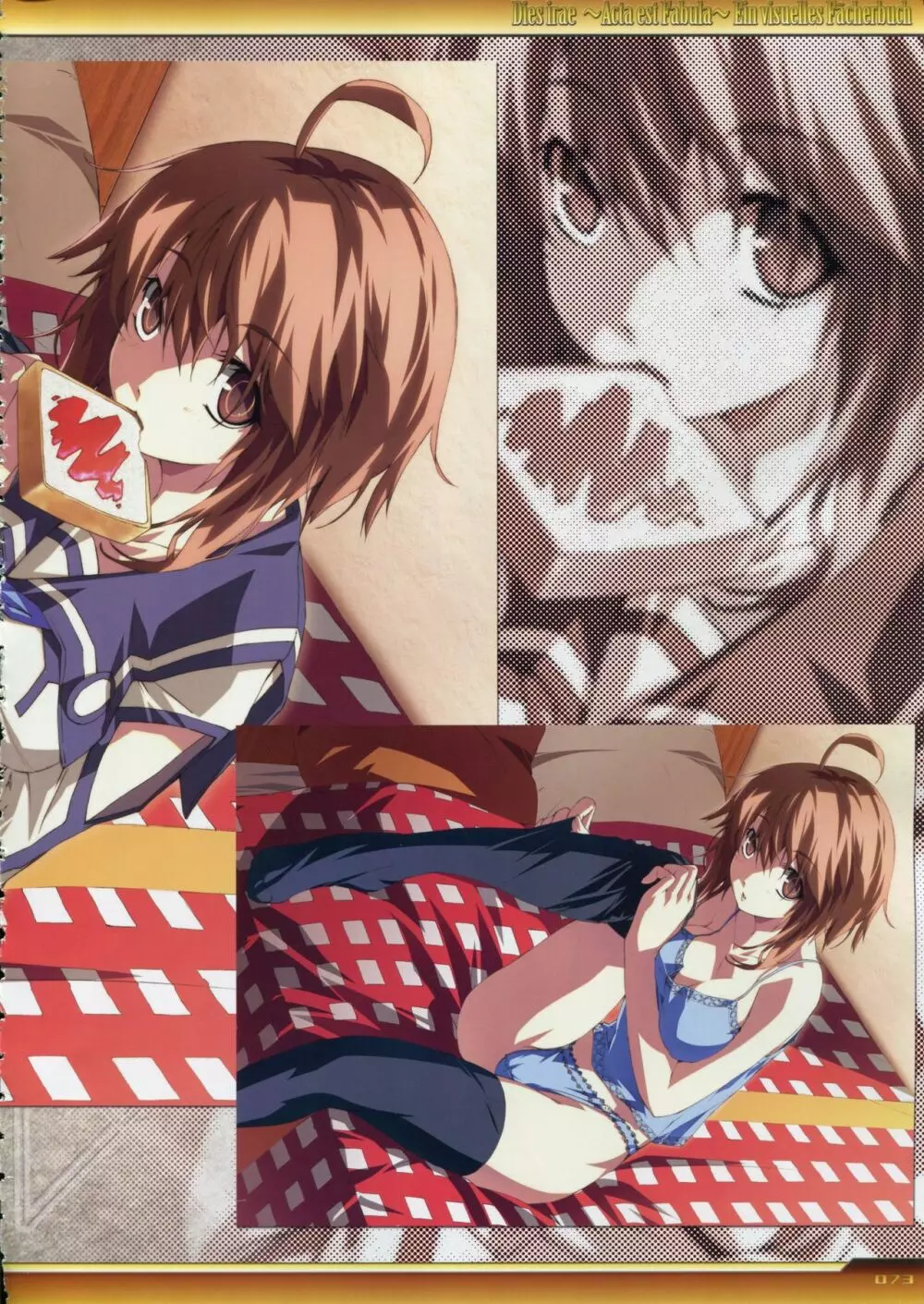 Dies irae Visual Fanbook - White Book Page.74