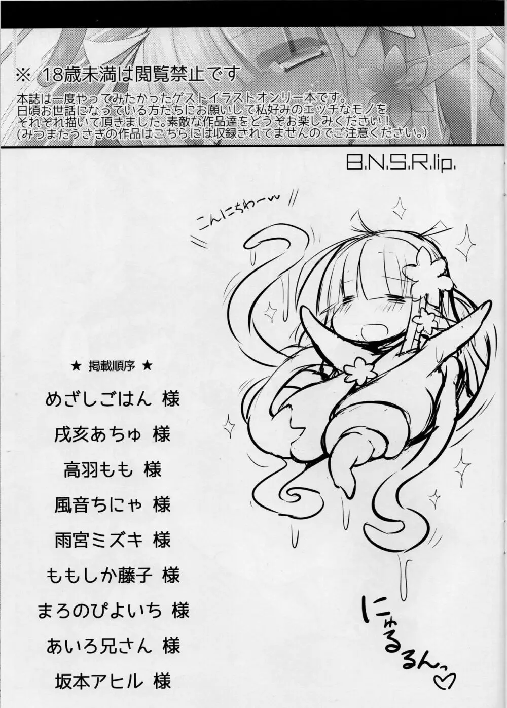 B.N.S.R.lip. Page.2