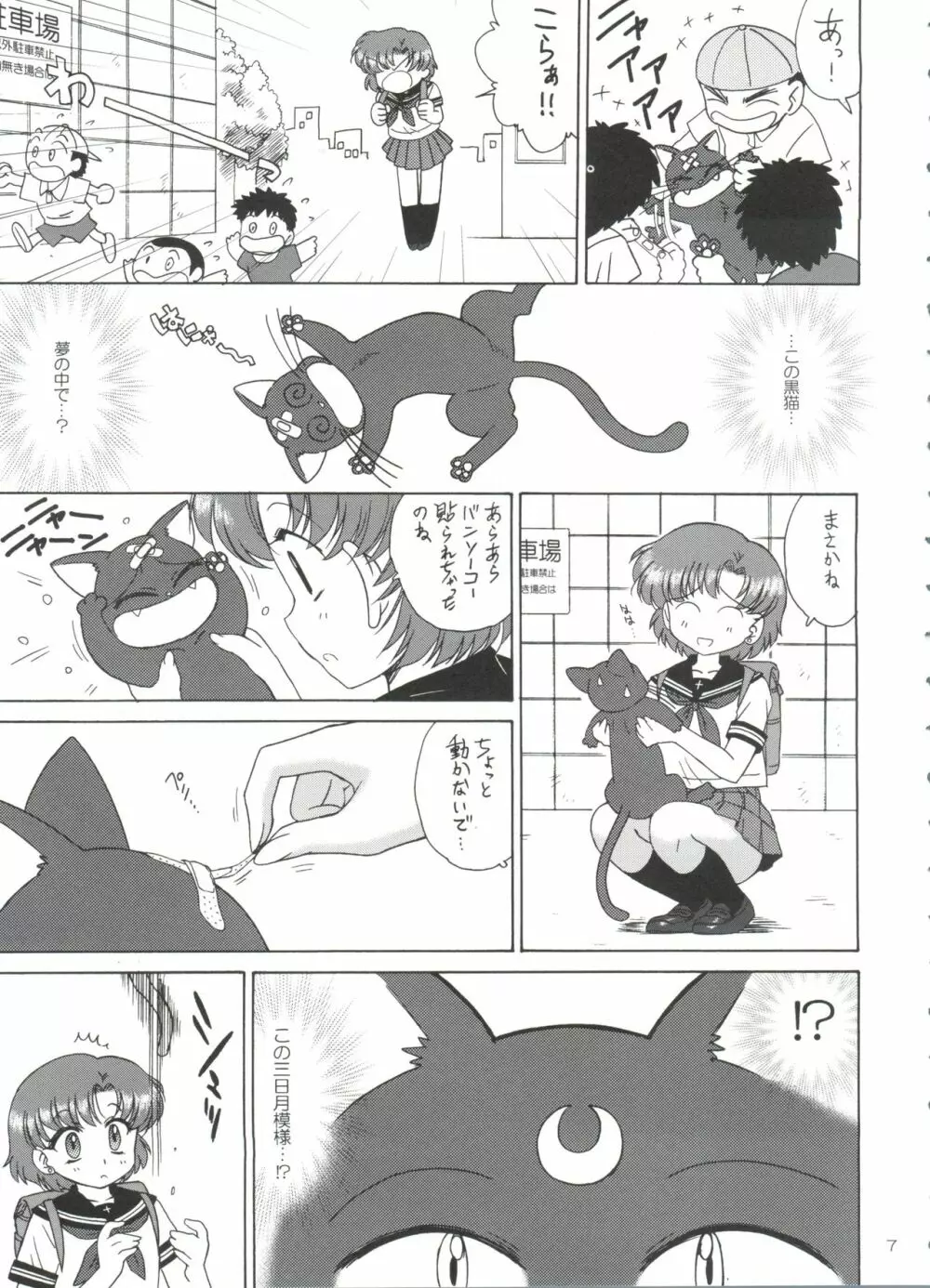 SUBMISSION-R RE・MERCURY Page.6