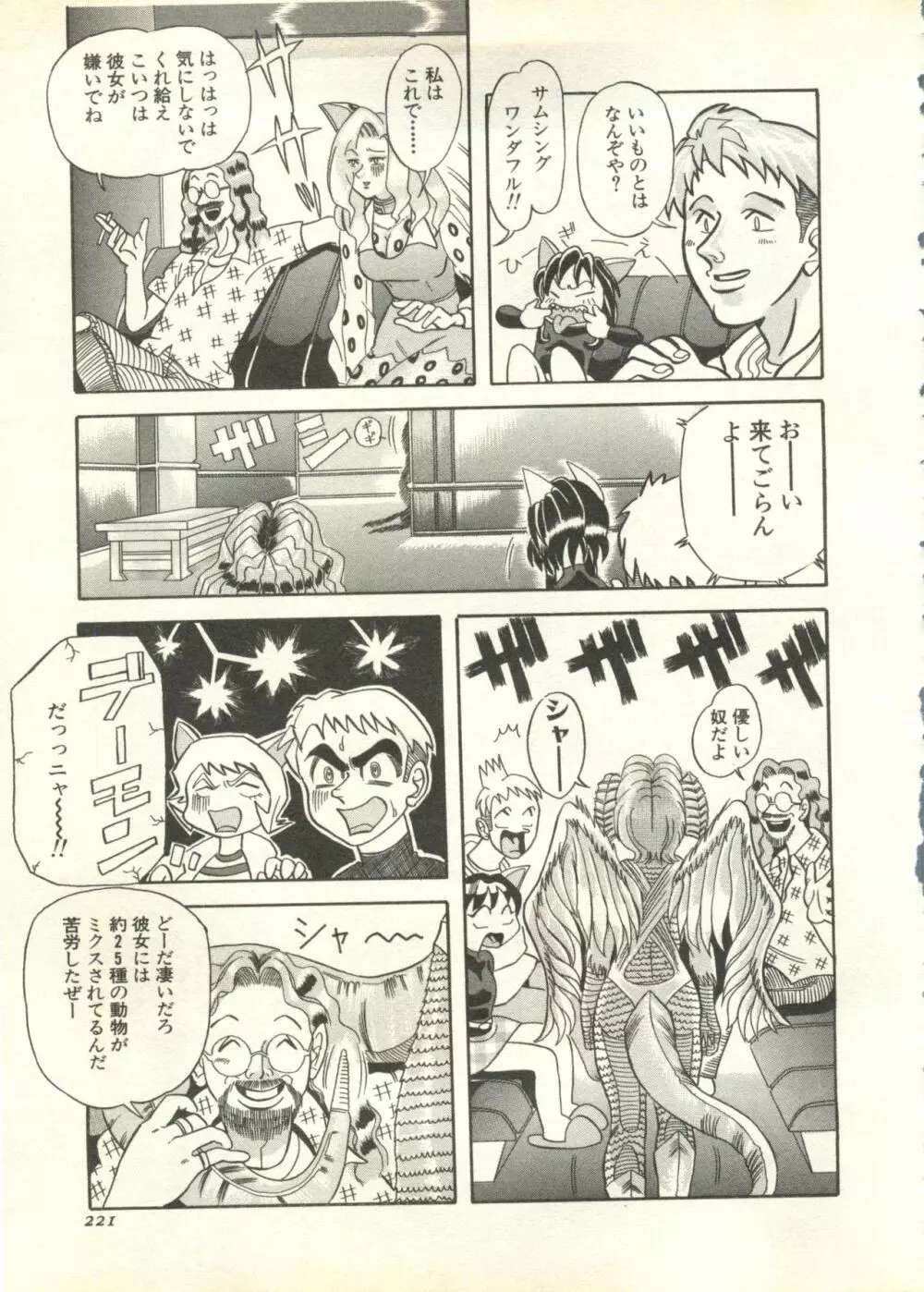 パイク Pai.kuu 1998 July vol.11 文月 Page.222