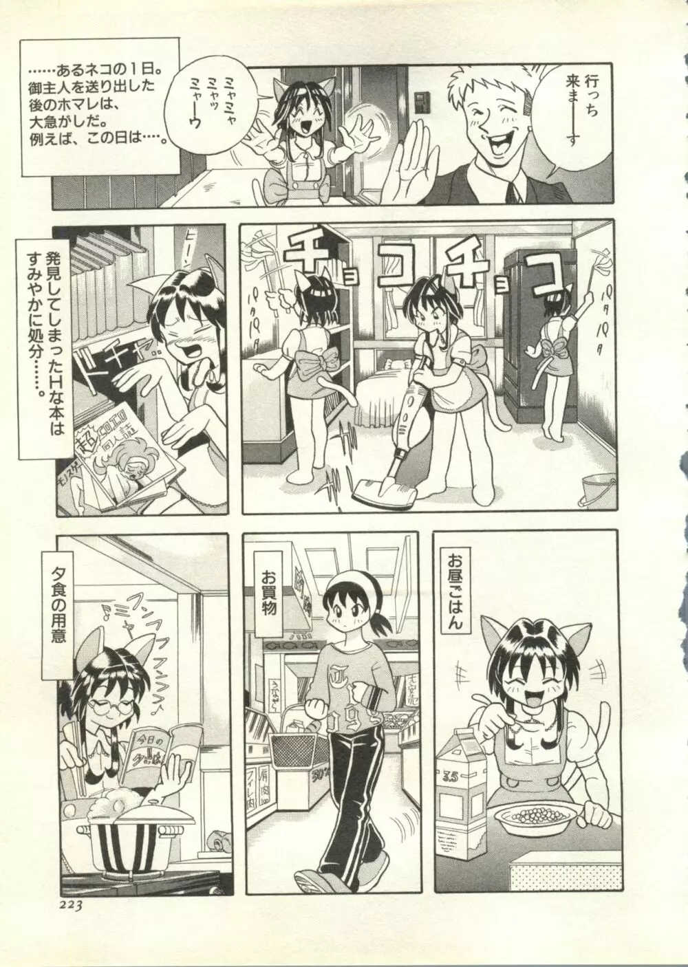 パイク Pai.kuu 1998 July vol.11 文月 Page.224