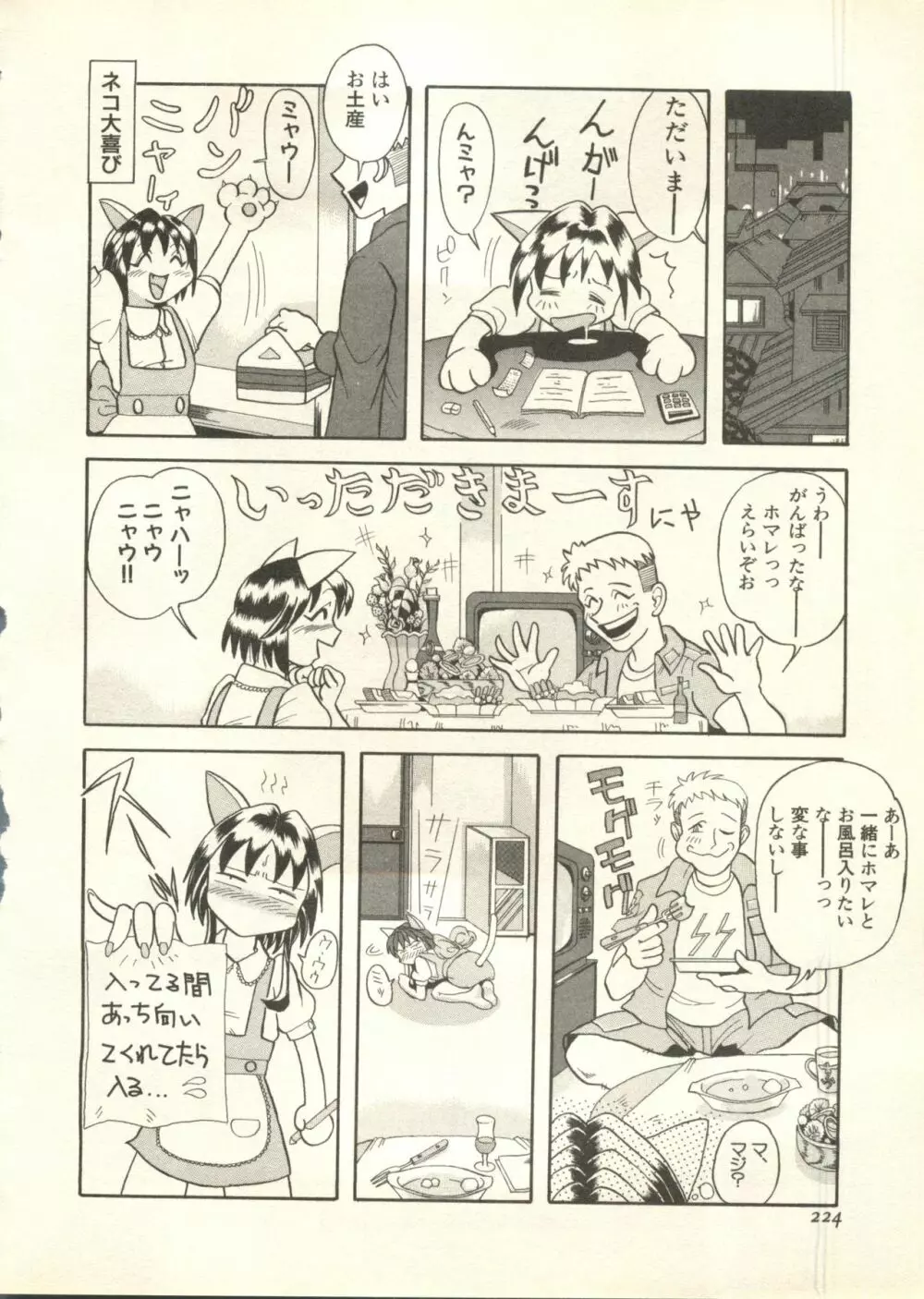 パイク Pai.kuu 1998 July vol.11 文月 Page.225