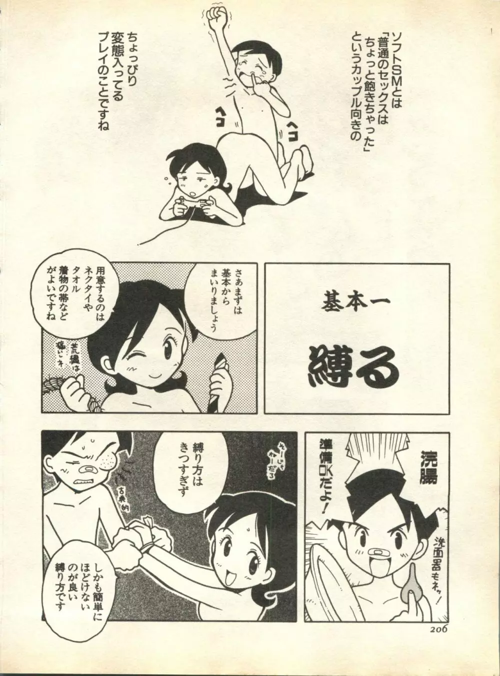 パイク Pai;kuu 1998 October Vol.13 神無月 Page.206