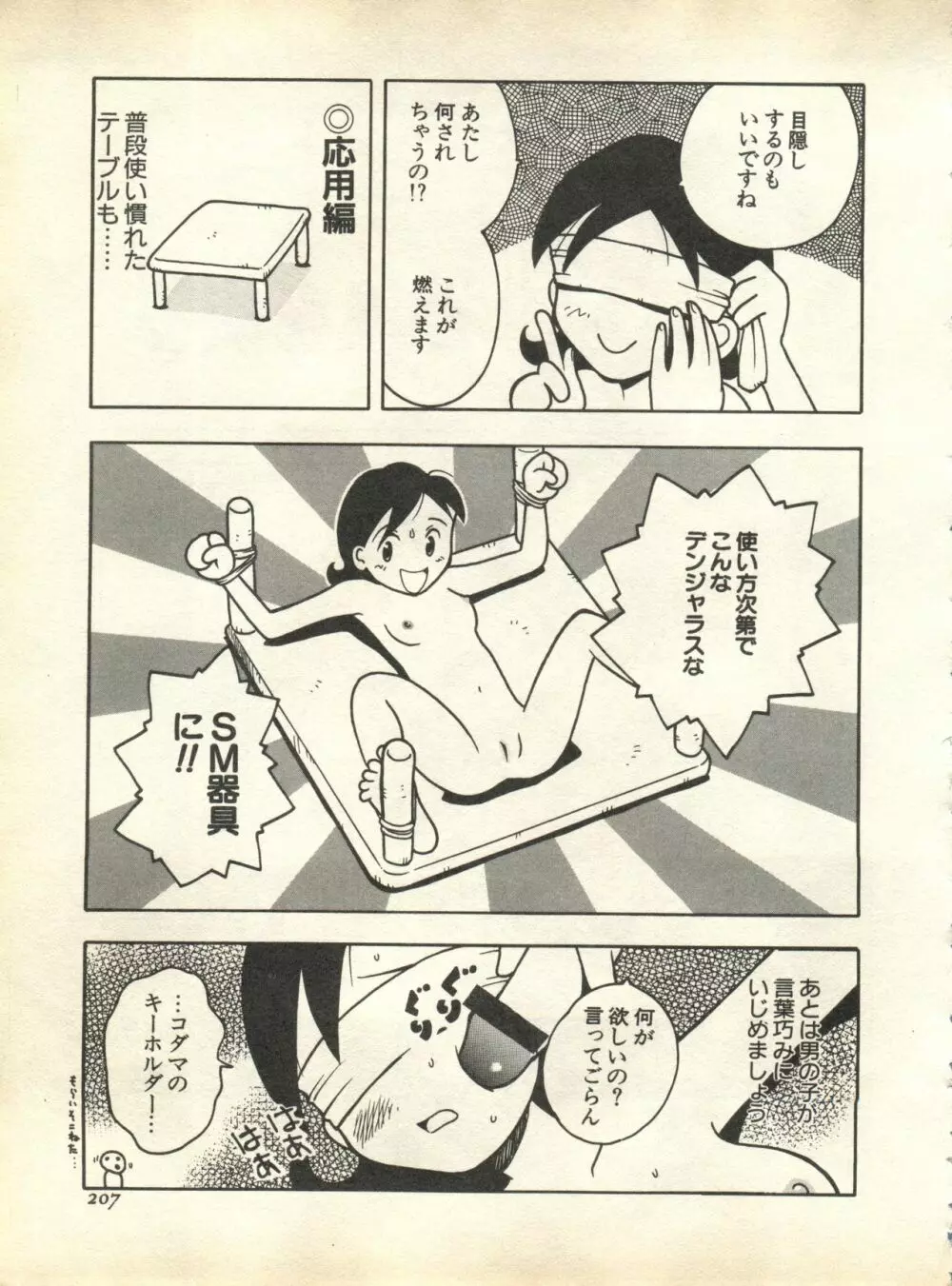 パイク Pai;kuu 1998 October Vol.13 神無月 Page.207