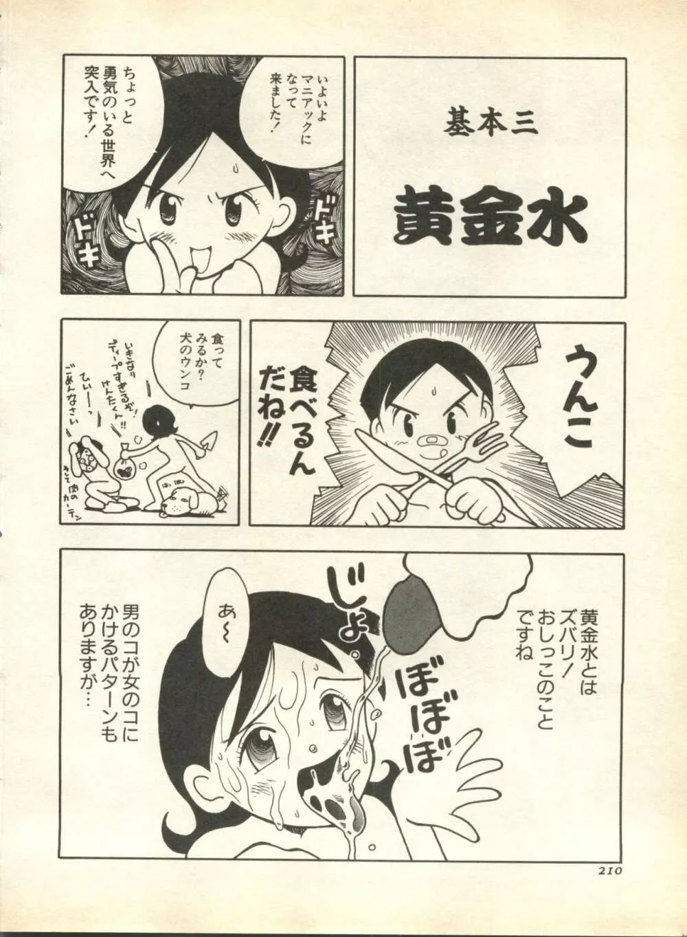 パイク Pai;kuu 1998 October Vol.13 神無月 Page.210