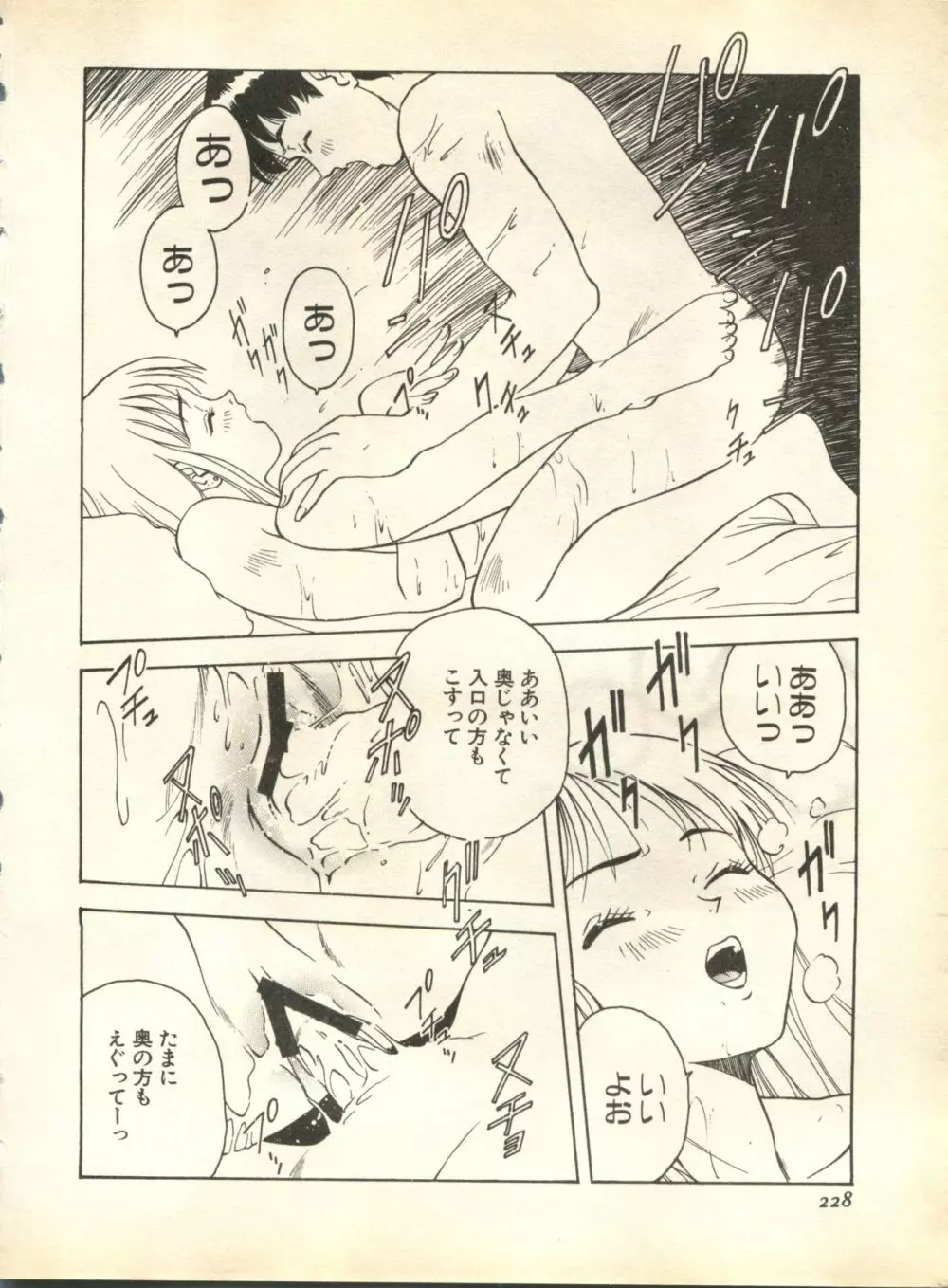 パイク Pai;kuu 1998 October Vol.13 神無月 Page.228