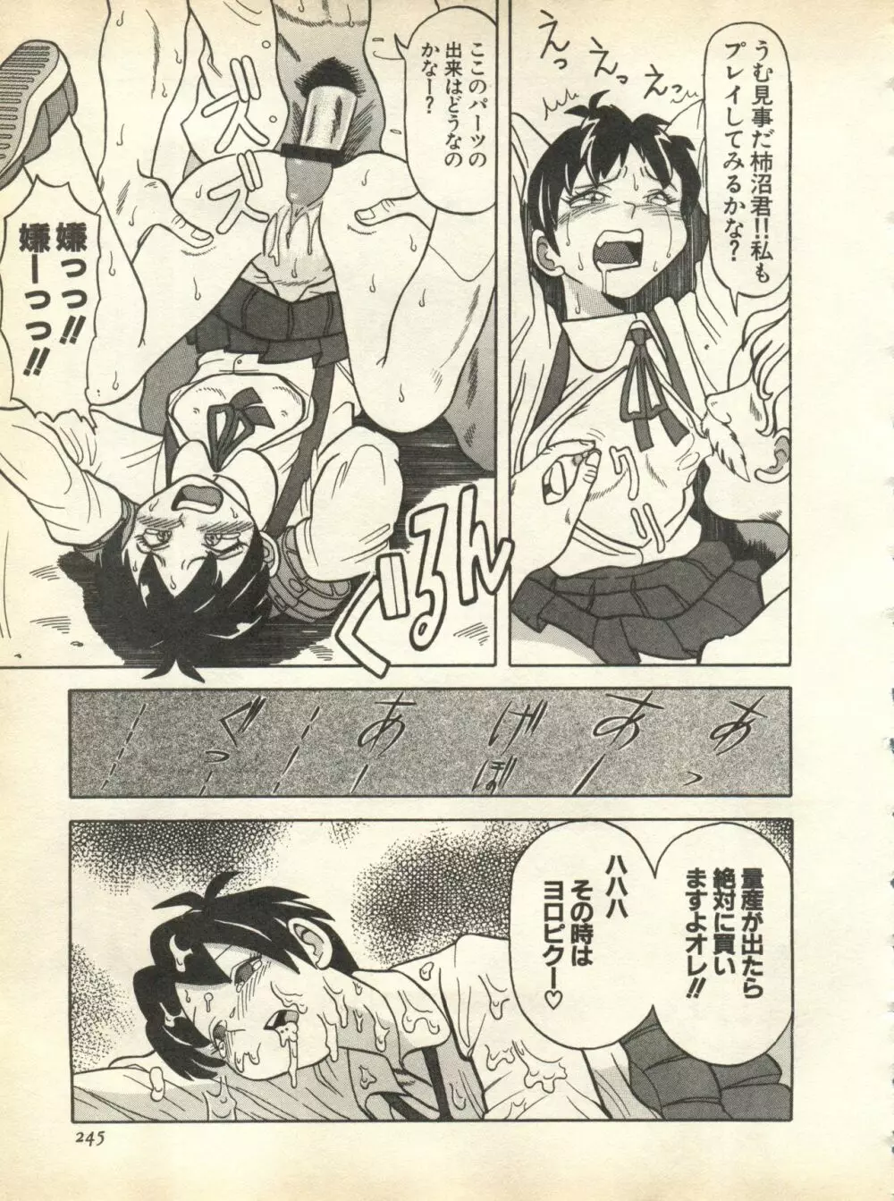 パイク Pai;kuu 1998 October Vol.13 神無月 Page.245