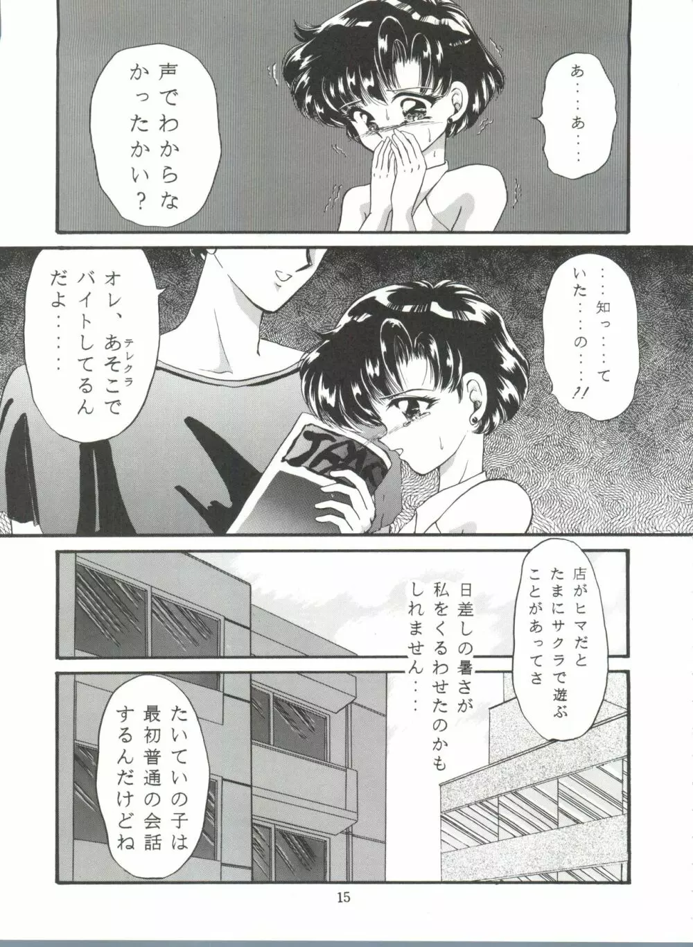 月夜のたわむれ Vol.7 Page.15