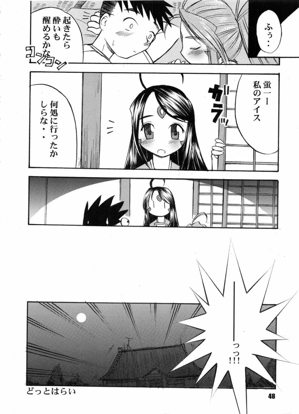 Bランチ盛り合わせ Page.47