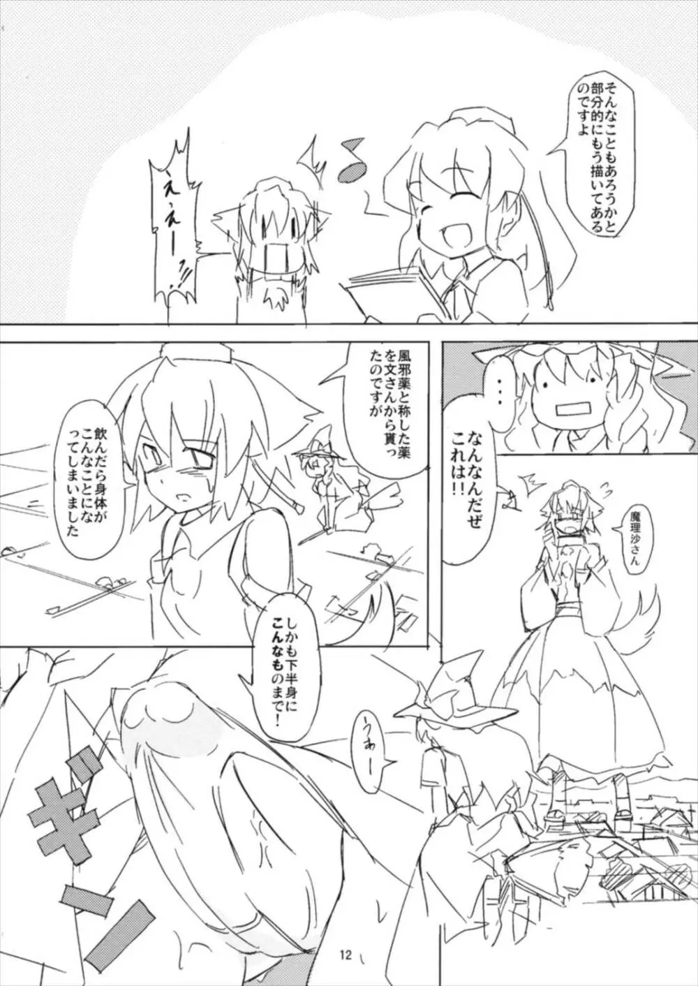 射命丸教授の比率的愛情 Page.12