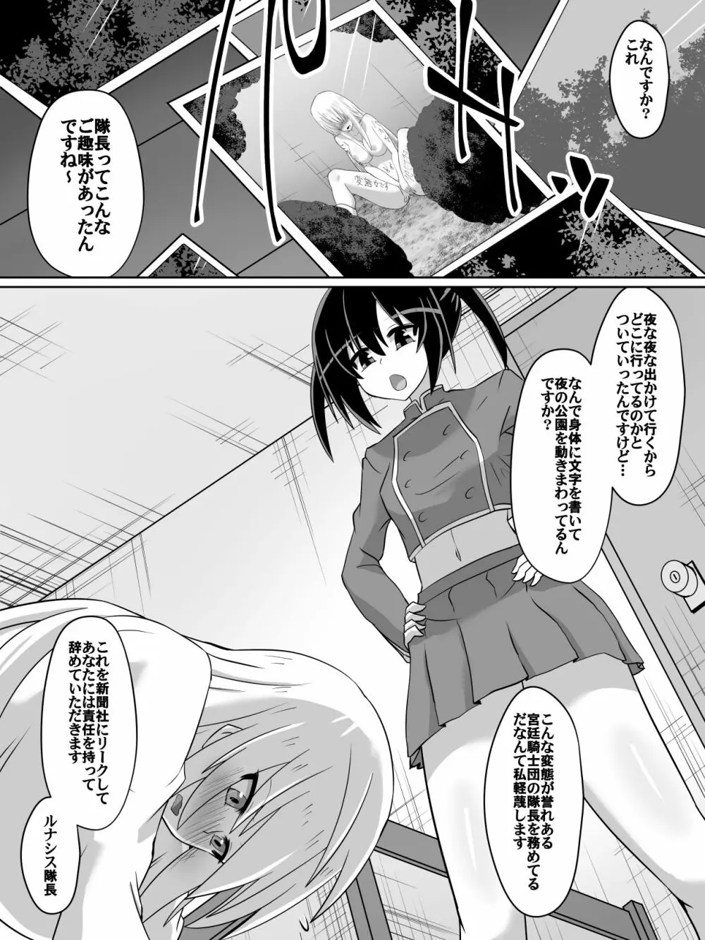 剣の女神ルナシス Page.3