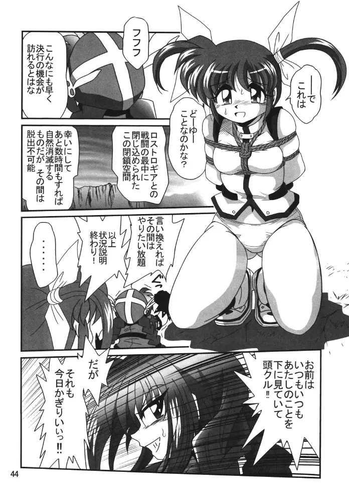 ストレージイグニッション 2 Page.44