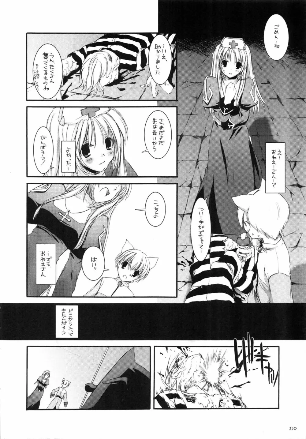 DL-RO総集編01 Page.249
