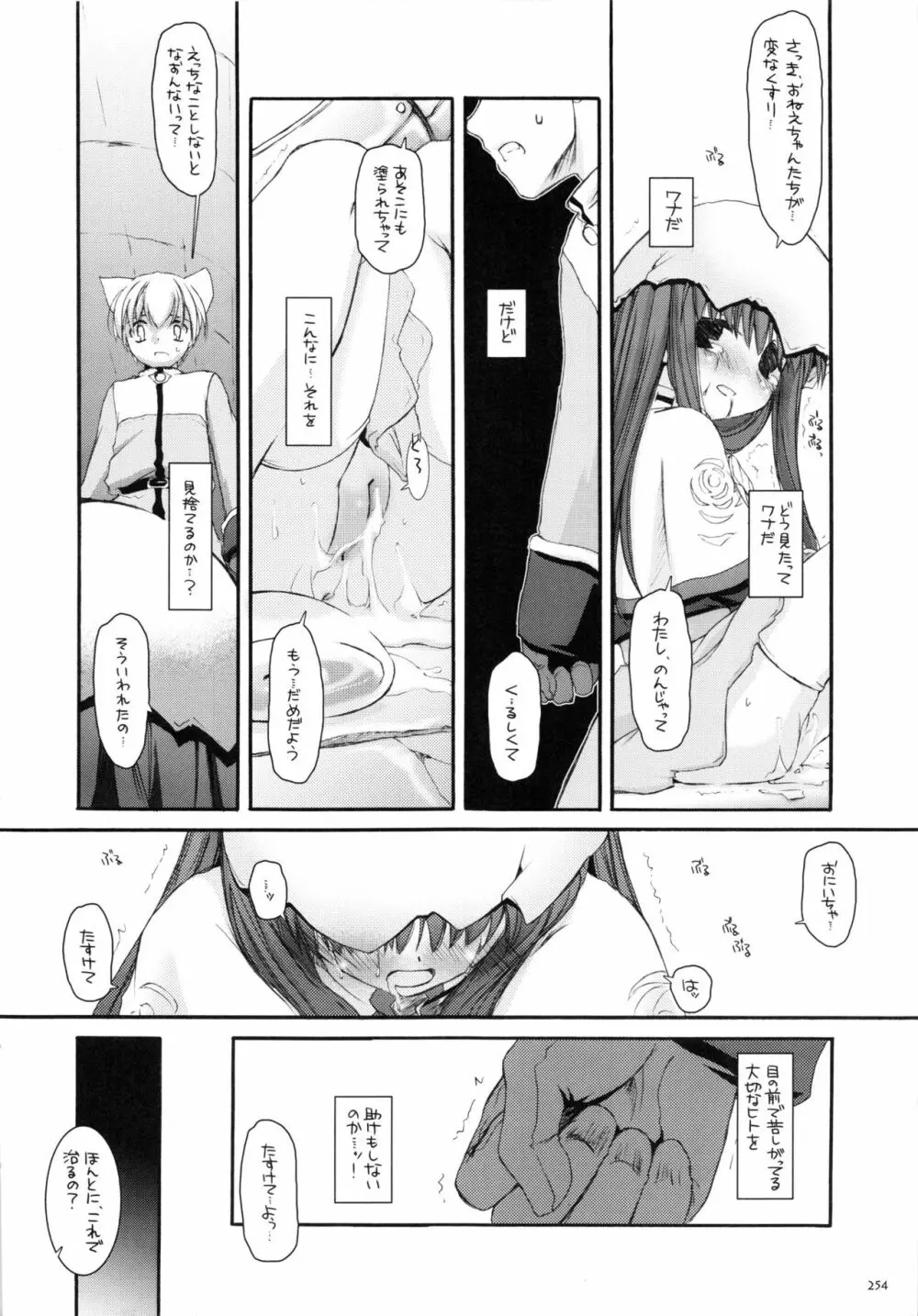 DL-RO総集編01 Page.253