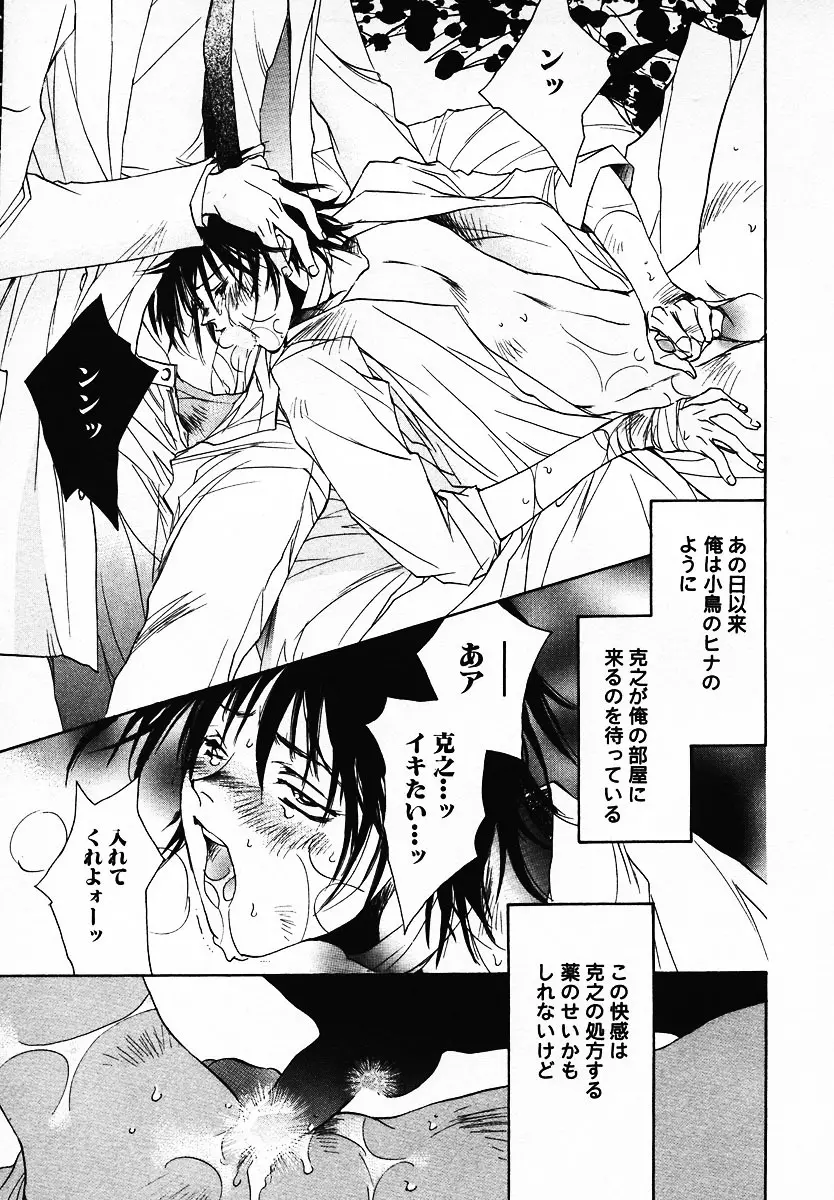 [Breed in the Sickroom][飼育病室][yaoi][JPN] Page.19