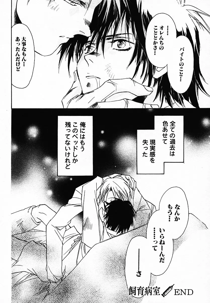[Breed in the Sickroom][飼育病室][yaoi][JPN] Page.32