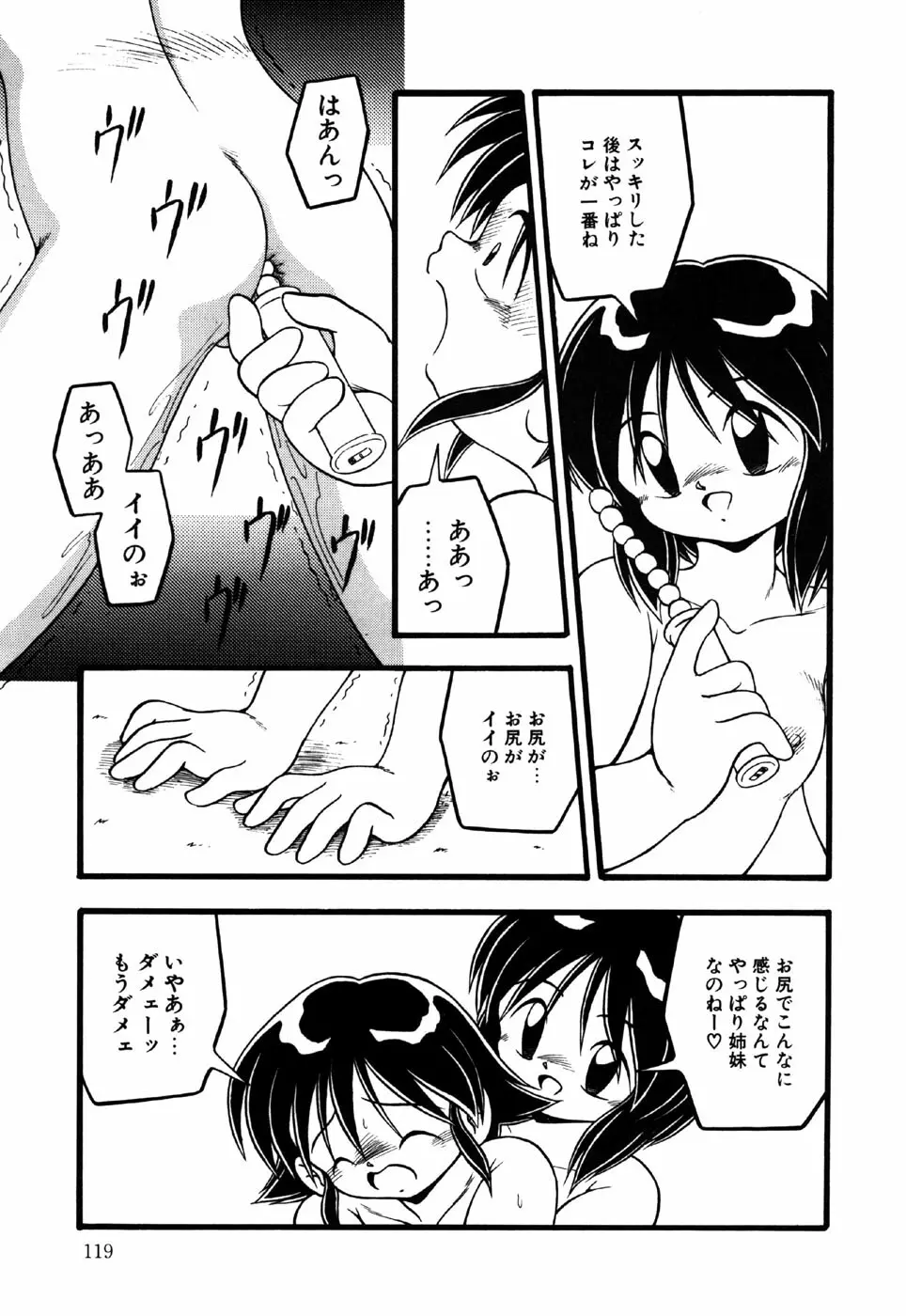 リトルピアス Vol.16 Page.121