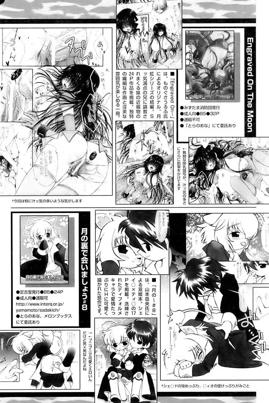 COMIC パピポ 2006年11月号 Page.243