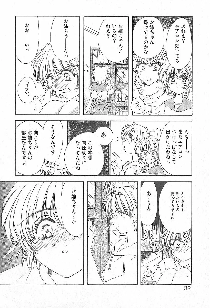 きれいな恋をしよう Page.31