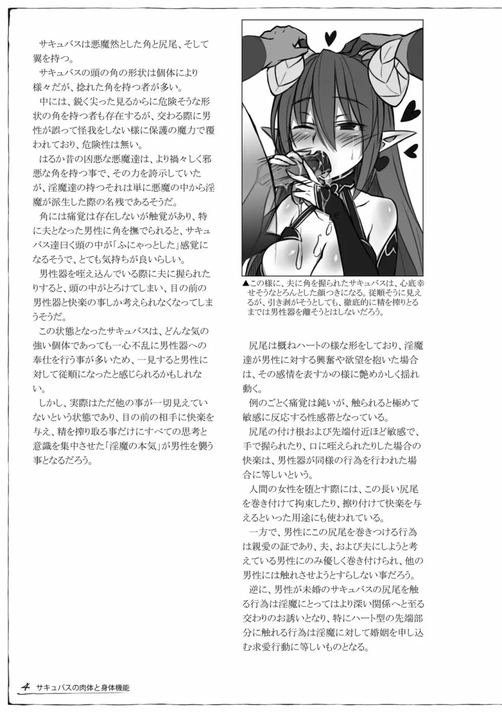 魔物娘図鑑 調査記録 サキュバス・ノート Page.5