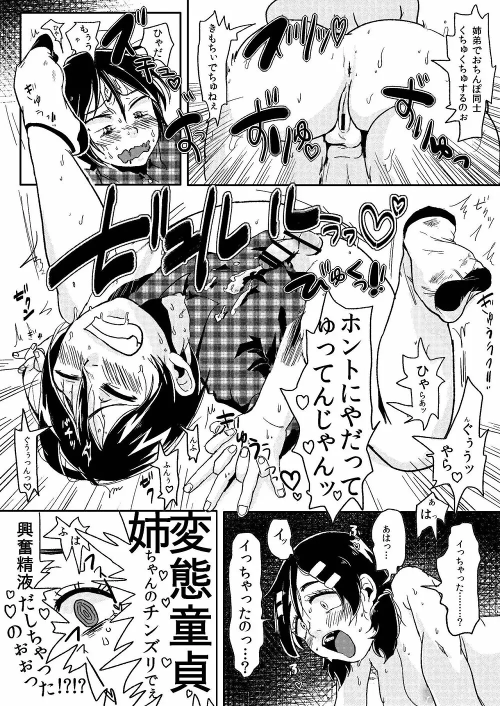 童貞愚姉、ち●ぽを以て弟を制す。 Page.11