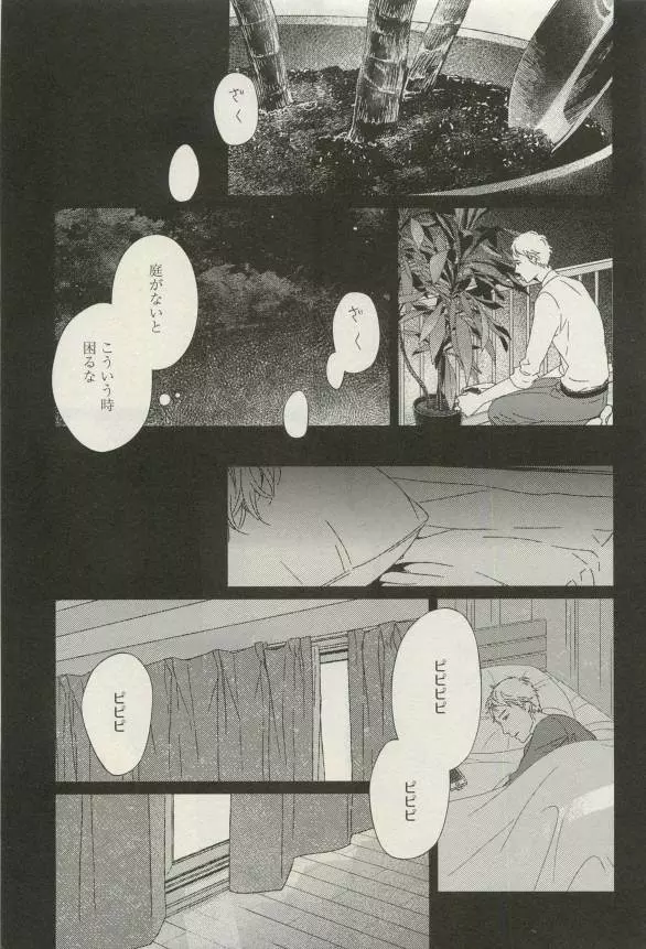 Canna Vol.40 Page.266