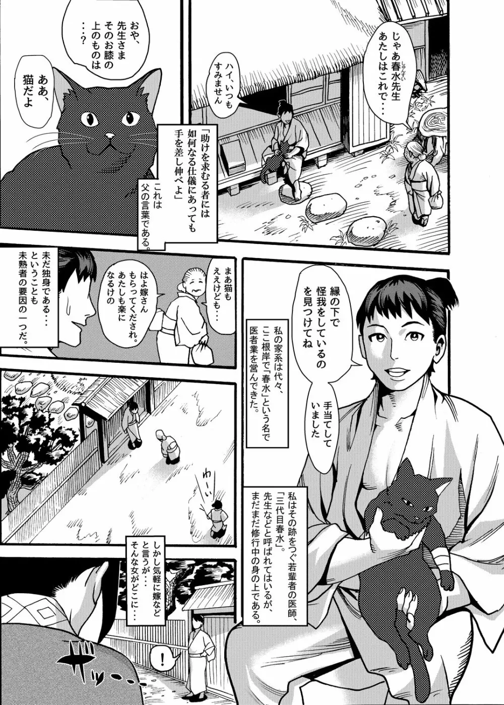 迷い猫～くのいちナガレ忍法帖～ Page.2