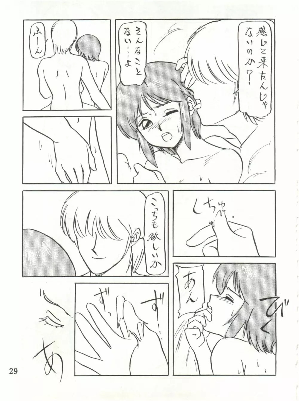 わくわくエルピーらんど PII Page.29