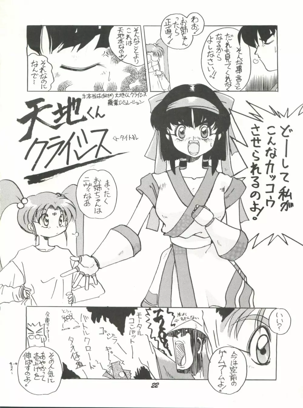 理解無用 弐號 Page.21