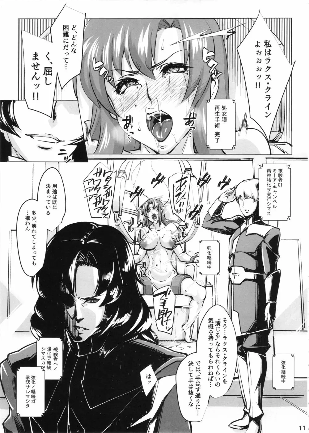 (COMIC1☆11) [ピーナッツランド (オタクミン)] ラクス･クライン(偽)改造計画 (機動戦士ガンダムSEED DESTINY) Page.10