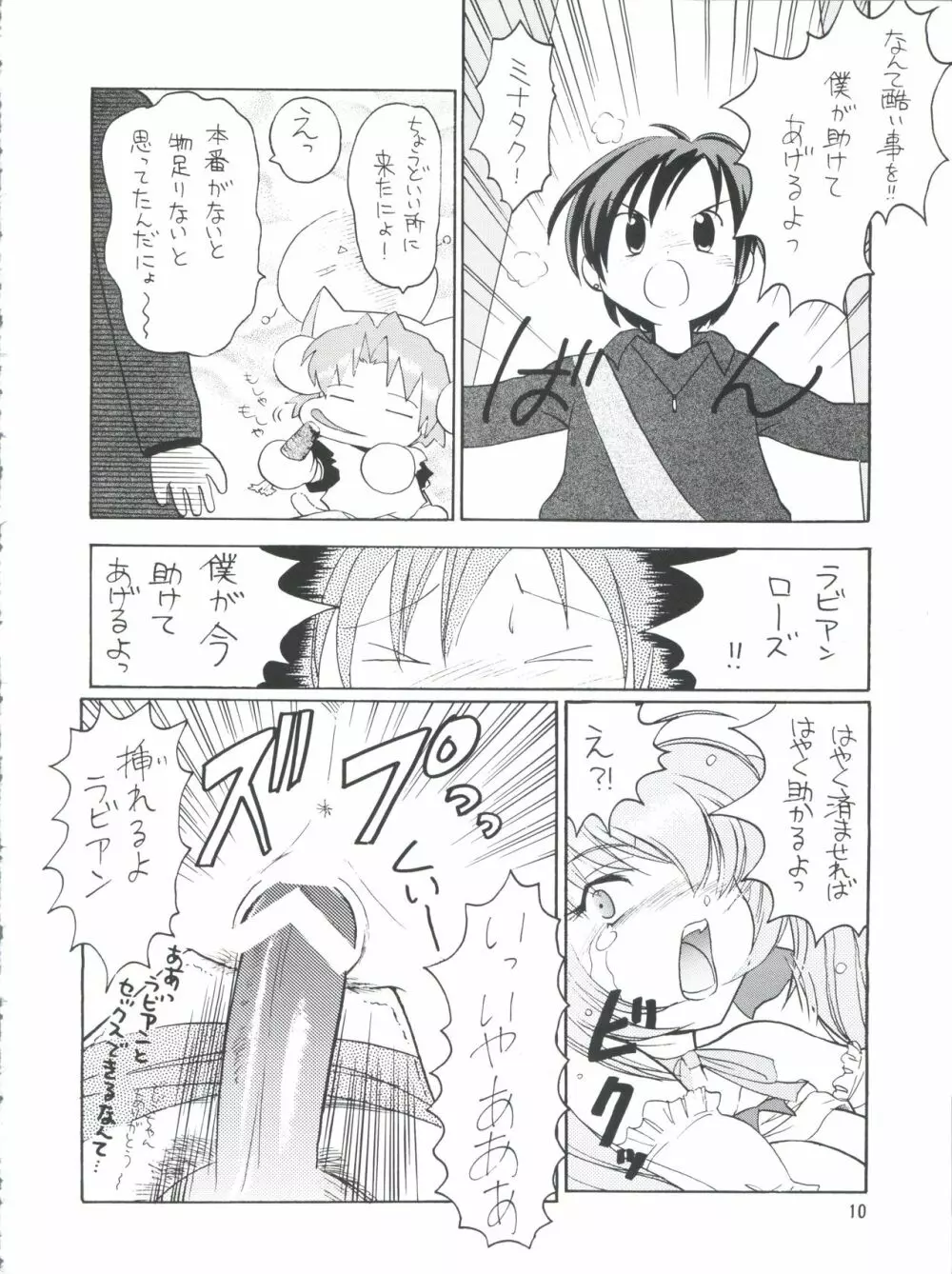 プラスY Vol.26 けもみみっくす 2 Page.10