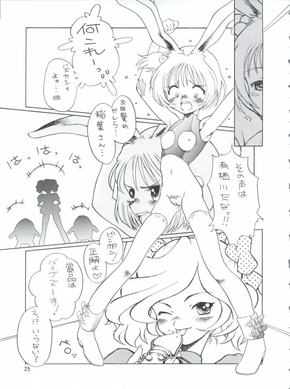 プラスY Vol.26 けもみみっくす 2 Page.25