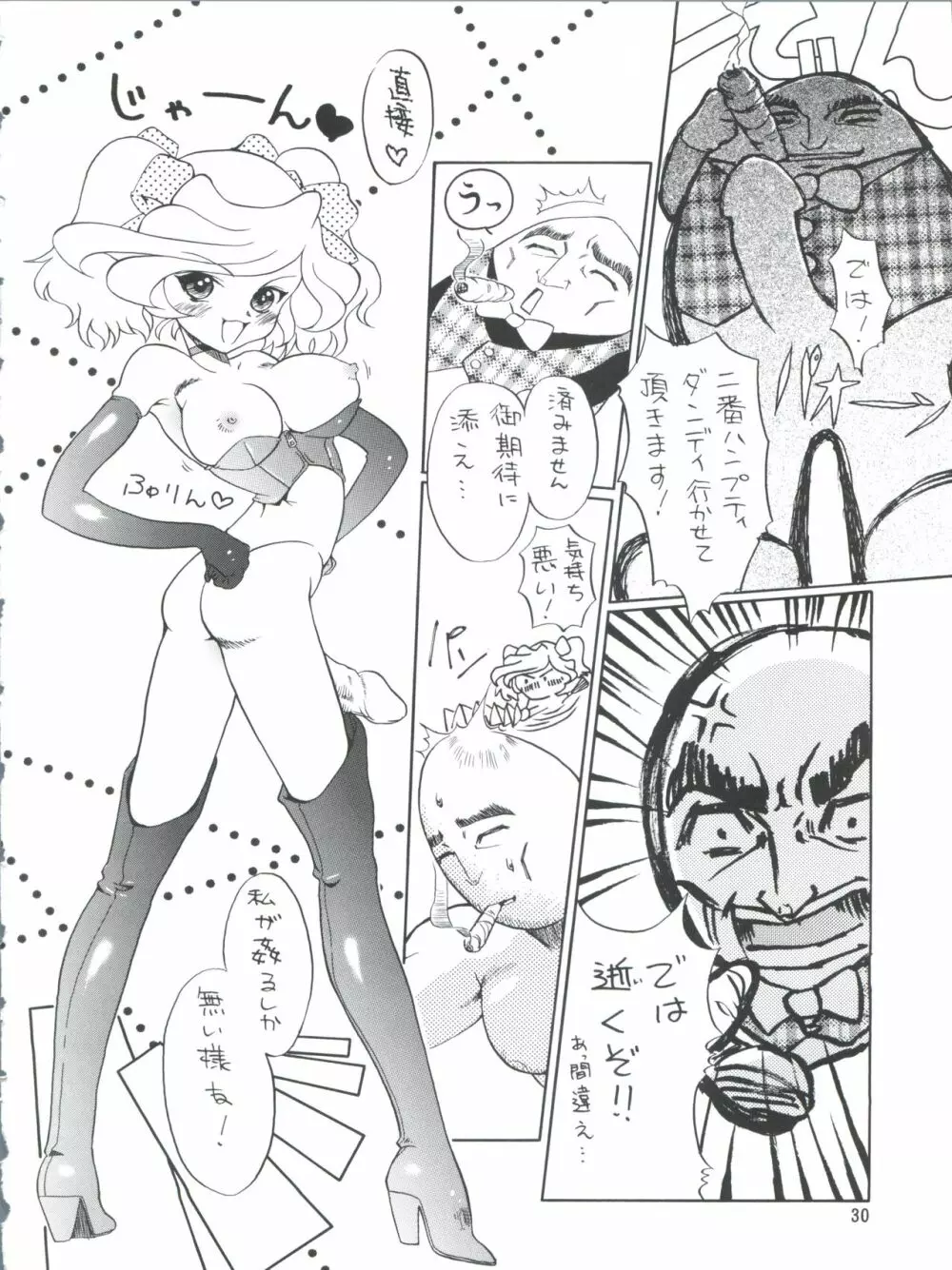 プラスY Vol.26 けもみみっくす 2 Page.30