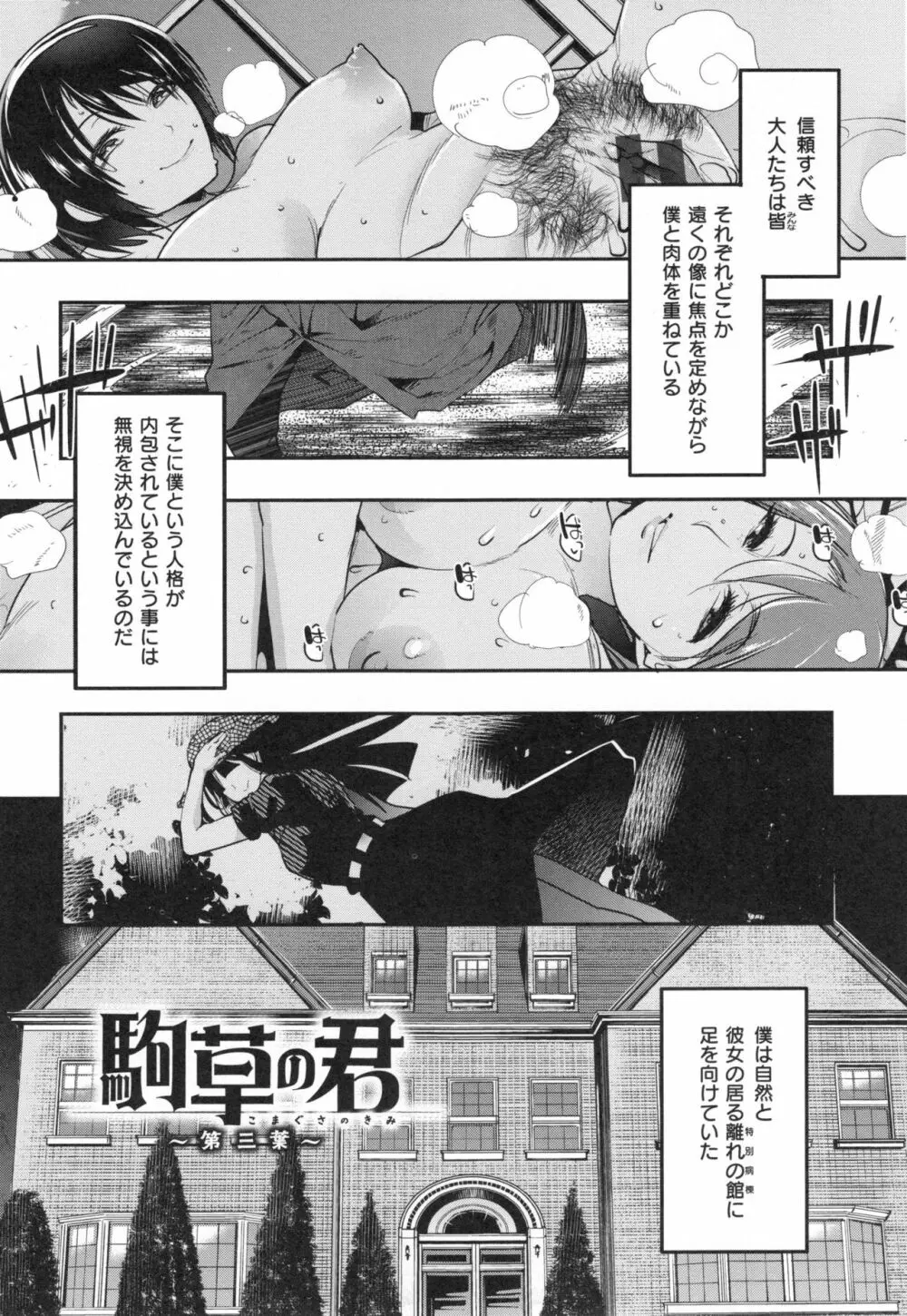 ニンフォガーデン + とらのあなリーフレット Page.116