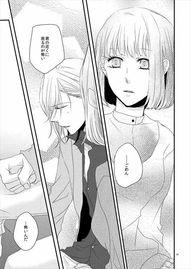 phalaenopsis Page.20