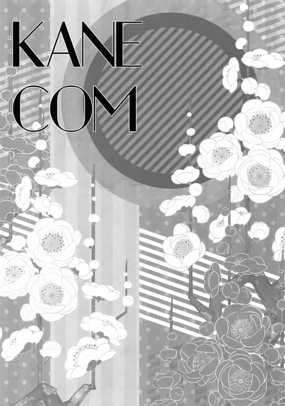 KANECOM Page.86
