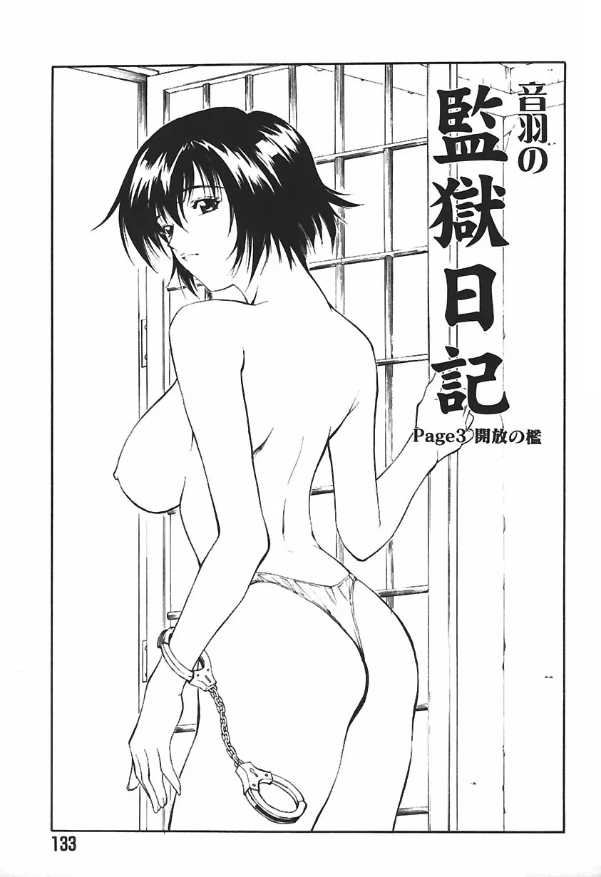 凌辱綴り ～彼女達の日記帳～ Page.135