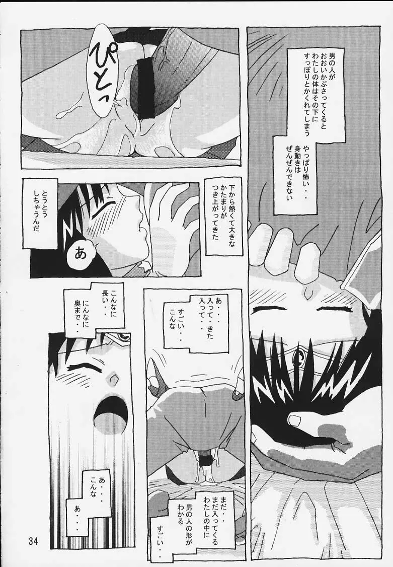 ほたるの連絡帳 Page.33