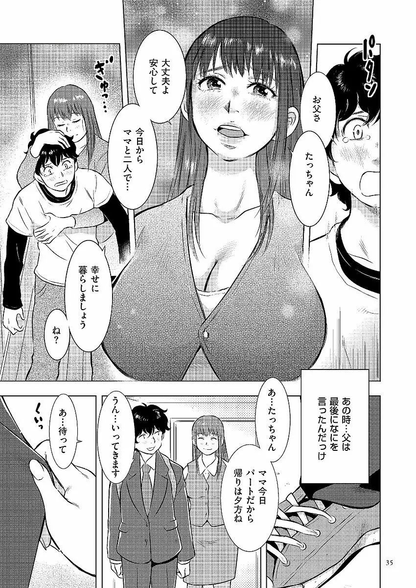 母子相姦日記 母さん、一度だけだから…。 Page.35